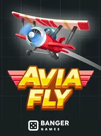 Avia Fly crash at 889JL COM